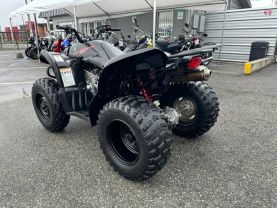 2007 YAMAHA WOLVERINE 450 4X4 ATV 1CYL. -