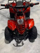2019 COOLSTER MOUNTOPZ 110 OFF ROAD - -