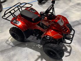 2019 COOLSTER MOUNTOPZ 110 OFF ROAD - -