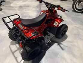 2019 COOLSTER MOUNTOPZ 110 OFF ROAD - -