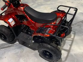 2019 COOLSTER MOUNTOPZ 110 OFF ROAD - -