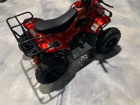 2019 COOLSTER MOUNTOPZ 110 OFF ROAD - -