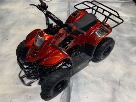 2019 COOLSTER MOUNTOPZ 110 OFF ROAD - -