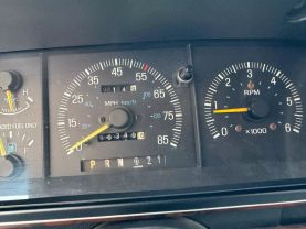 1991 FORD BRONCO SUV - CUSTOM 2D UTILITY 4WD