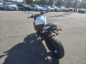 2019 SUZUKI GSX-S1000 STREET - -