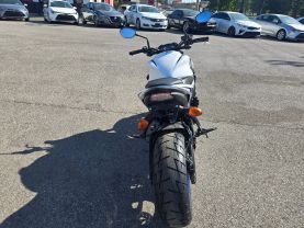 2019 SUZUKI GSX-S1000 STREET - -