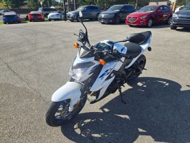 2019 SUZUKI GSX-S1000 STREET - -