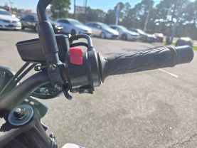 2019 SUZUKI GSX-S1000 STREET - -