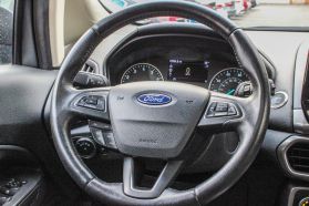 2019 Ford Ecosport - Image 10