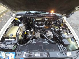 1995 CHEVROLET S10 EXTENDED CAB PICKUP V6, 4.3 LITER PICKUP