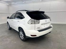 2009 LEXUS RX