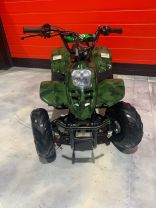 2018 TAO TAO CR110-2 OFF ROAD - -