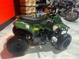 2018 TAO TAO CR110-2 OFF ROAD - -