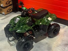 2018 TAO TAO CR110-2 OFF ROAD - -