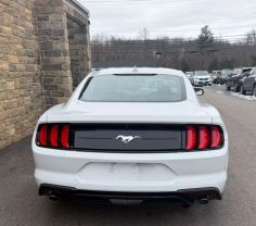 2020 FORD MUSTANG COUPE 4-CYL, TURBO, ECOBOOST, 2.3 LITER ECOBOOST COUPE 2D - Gesner Auto Inc in Taunton, MA, 41.88613, -71.14527