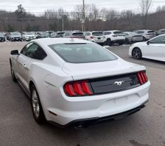 2020 FORD MUSTANG COUPE 4-CYL, TURBO, ECOBOOST, 2.3 LITER ECOBOOST COUPE 2D - Gesner Auto Inc in Taunton, MA, 41.88613, -71.14527