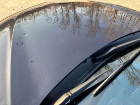 2023 CHEVROLET MALIBU SEDAN 4-CYL, TURBO, 1.5 LITER 1LT SEDAN 4D at T&T Repairables - used car dealership in Spencer, Indiana.