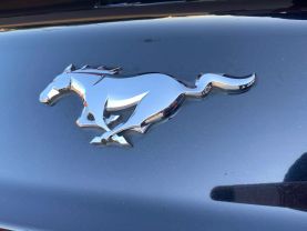 2017 FORD MUSTANG CONVERTIBLE 4-CYL, ECOBOOST, 2.3T ECOBOOST PREMIUM CONVERTIBLE 2D