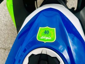 2024 KAWASAKI EX500JRFBL NINJA 500 SE 40TH ANNIVERSARY SPORTBIKES - -