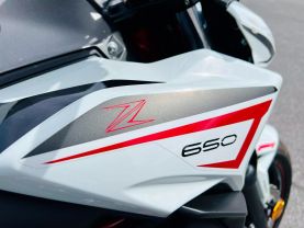 2022 KAWASAKI ER650KNFAN Z650 (ABS) SPORTBIKES - -