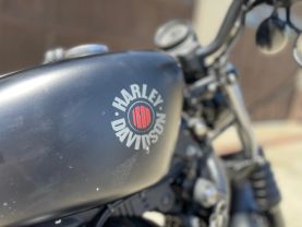 2022 HARLEY-DAVIDSON XL883N IRON 883 - - -