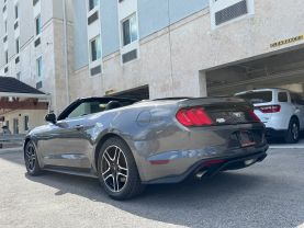 2019 FORD MUSTANG CONVERTIBLE 4-CYL, TURBO, ECOBOOST, 2.3 LITER ECOBOOST PREMIUM CONVERTIBLE 2D