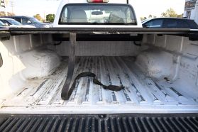 2008 CHEVROLET COLORADO REGULAR CAB PICKUP 5-CYL, 3.7 LITER LS PICKUP 2D 6 FT