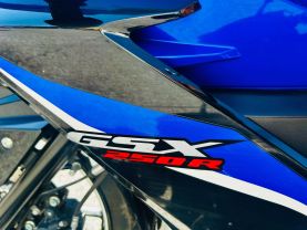 2022 SUZUKI GSX250RAM2 (ABS) - - -