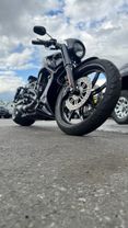 2007 HARLEY DAVIDSON V ROD - 1250CC NIGHT SPECIAL EDITION