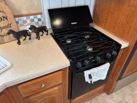 Used 2006 GEORGETOWN BY FOREST RIVER SE SERIES - - 350DS FORD - LA Auto Star located in Virginia Beach, VA