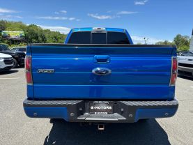 2013 FORD F150 SUPERCREW CAB