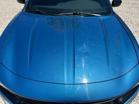2020 DODGE CHARGER SEDAN V6, 3.6 LITER SXT SEDAN 4D at T&T Repairables - used car dealership in Spencer, Indiana.