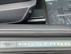 2015 FORD MUSTANG COUPE V8, 5.0 LITER GT PREMIUM COUPE 2D - The Auto Lot