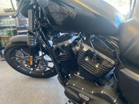 2016 HARLEY-DAVIDSON XL883N IRON - - -