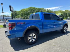 2013 FORD F150 SUPERCREW CAB