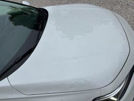 2024 HONDA CIVIC SEDAN 4-CYL, I-VTEC, 2.0 LITER LX SEDAN 4D at T&T Repairables - used car dealership in Spencer, Indiana.