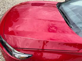 2022 HONDA ACCORD SEDAN 4-CYL, I-VTEC, TURBO, 1.5 LITER SPORT SEDAN 4D at T&T Repairables - used car dealership in Spencer, Indiana.