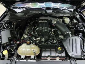 2016 FORD MUSTANG for sale in  Orlando, FL