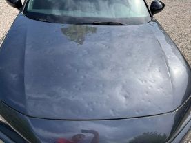 2024 HONDA CIVIC SEDAN 4-CYL, I-VTEC, 2.0 LITER SPORT SEDAN 4D at T&T Repairables - used car dealership in Spencer, Indiana.
