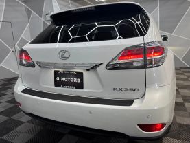 2013 LEXUS RX