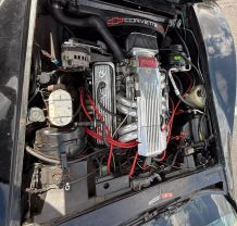 1981 CHEVROLET CORVETTE COUPE - 2D COUPE