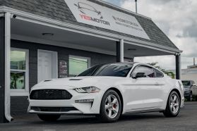 2019 FORD MUSTANG COUPE 4-CYL, TURBO, ECOBOOST, 2.3 LITER ECOBOOST COUPE 2D