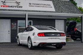 2019 FORD MUSTANG COUPE 4-CYL, TURBO, ECOBOOST, 2.3 LITER ECOBOOST COUPE 2D