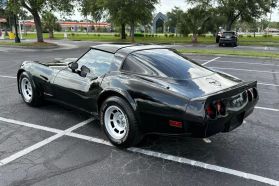 1981 CHEVROLET CORVETTE COUPE - 2D COUPE
