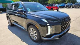 2024 Hyundai Palisade - Image 3