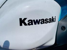 2020 KAWASAKI EX650MLF NINJA 650 (ABS) SPORTBIKES - -