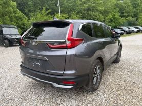 2022 HONDA CR-V SUV 4-CYL, TURBO, 1.5 LITER EX-L SPORT UTILITY 4D at T&T Repairables - used car dealership in Spencer, Indiana.