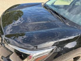 2023 SUBARU FORESTER SUV 4-CYL, 2.5 LITER PREMIUM SPORT UTILITY 4D at T&T Repairables - used car dealership in Spencer, Indiana.