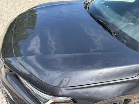 2024 HONDA CIVIC SEDAN 4-CYL, I-VTEC, 2.0 LITER SPORT SEDAN 4D at T&T Repairables - used car dealership in Spencer, Indiana.