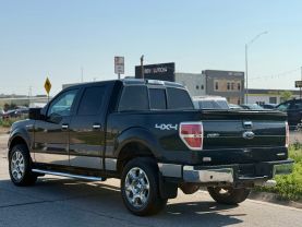 2014 FORD F150 SUPERCREW CAB PICKUP V8, FLEX FUEL, 5.0 LITER XLT PICKUP 4D 5 1/2 FT